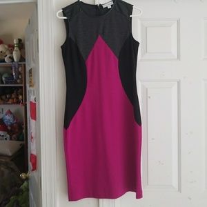 EUC Roz and Ali Dress